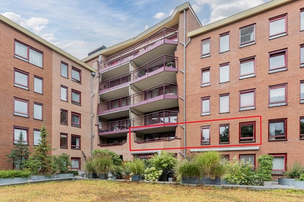 achteraanzicht met omkadering.jpg